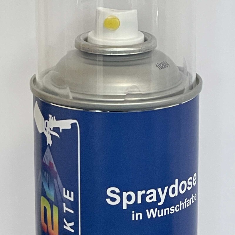 Autolack Spraydose mischen lassen