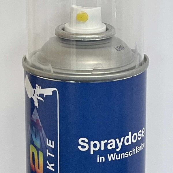 Autolack Spraydose mischen lassen