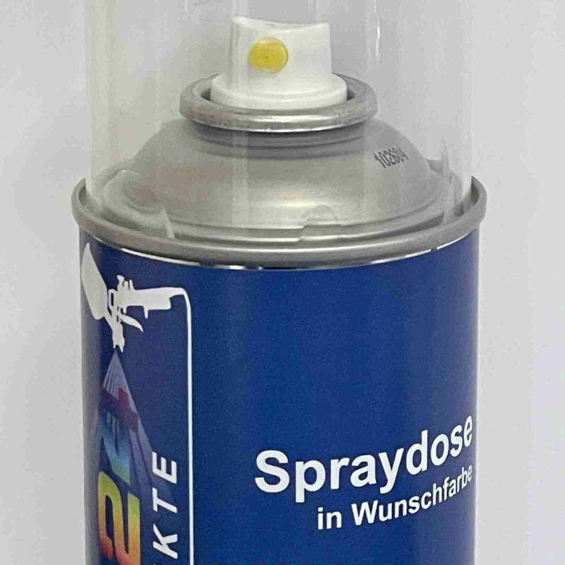 Spraydose für SMART EAC BAY GREY MET