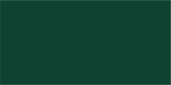 MIPA PU 240-50 in RAL 6005 Moosgrün 1kg