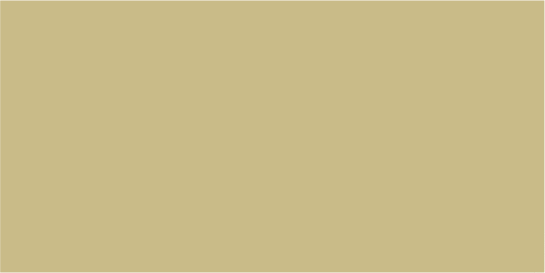 MIPA PU 250-10 in RAL 1000 Grünbeige 5kg