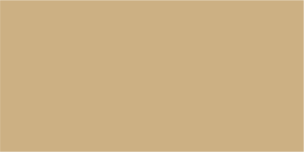 MIPA PU 250-10 in RAL 1001 Beige 5kg