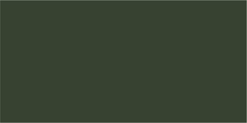 MIPA AK 250-90 in RAL 6020 Chromoxidgrün 1kg