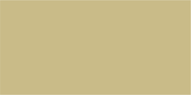 RAL Lackstift 1000 Grünbeige seidenmatt 30% Glanz