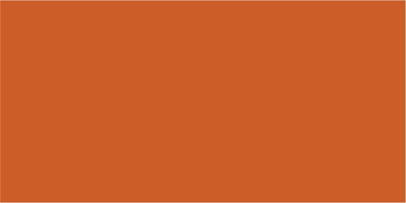 2010 Signalorange