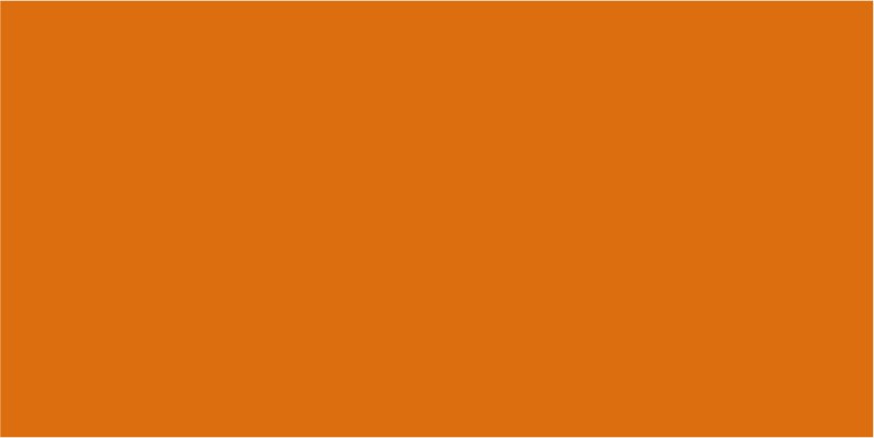 2011 Tieforange