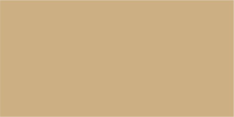 1001 Beige